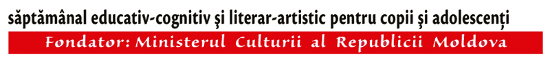 Banner Add